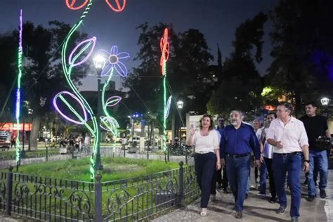 Fuentes Encabez El Encendido De Luces Y Del Rbol Ecol Gico Nuevo