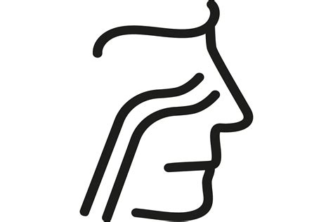 Nasal Passage Line Icon Nose Throat S Graphic By Pchvector