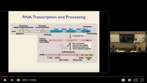 Practical Guide to RNA Sequencing | RNA-Seq Blog