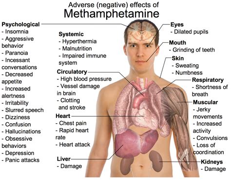 Understanding Meth Psychosis Risks And Connections