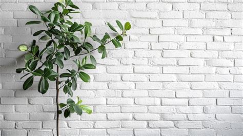 Premium Photo White Brick Wall With Plant