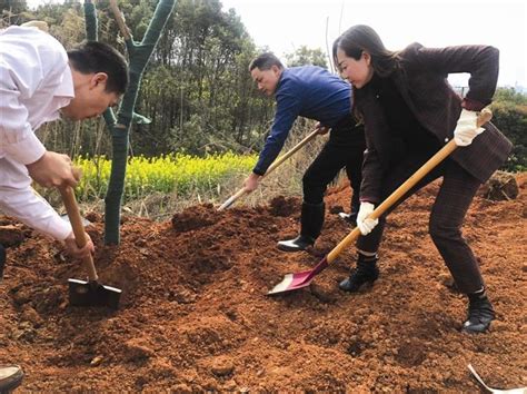 【社会】不负好春光 植树添新绿图说常德走进常德常德市人民政府门户网站