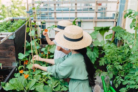 Homegrown Herbal Tea Recipes To Comfort Your Body — Her 86m2 By Thuy Dao