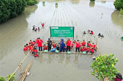 Merayakan Ulang Tahun Ke 25 Alfamart Gelar Aksi Tanam 25 000 Pohon