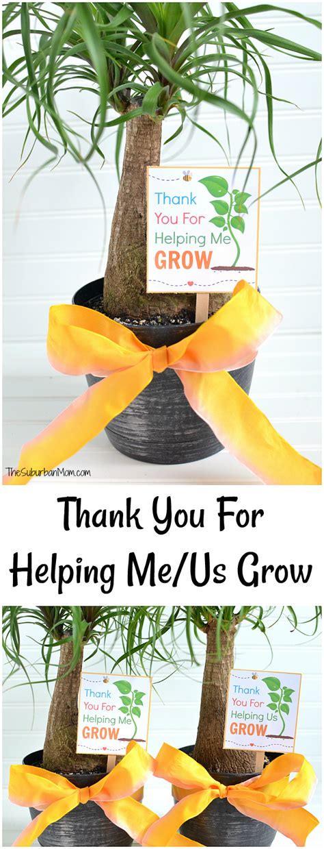 Thank You For Helping Me Grow Free Printable Us Version Too