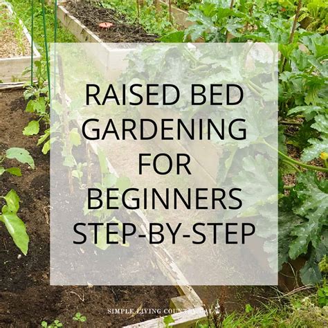 Raised Bed Gardening For Beginners Simple Living Country Gal