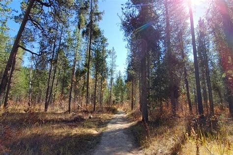 Yellowstone To Craters Of The Moon Drive With Waterfalls Stop Wyoming