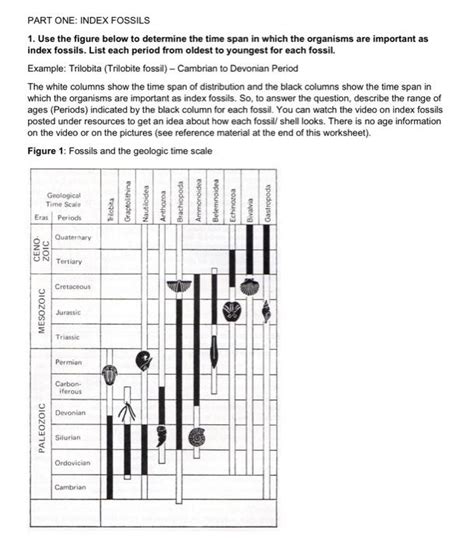 Solved PART ONE INDEX FOSSILS 1 Use The Figure Below To Chegg