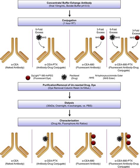 Workflow For Synthesis Purification And Characterization Of