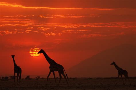 African Sunset At Amboseli National Park Kenya Flickr Photo Sharing