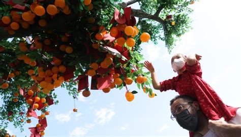 Lunar New Year celebrations around the world | South China Morning Post