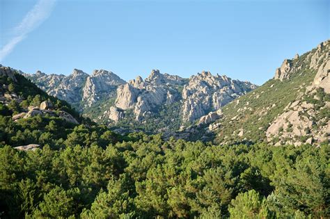 Parque Nacional De La Sierra De Guadarrama Libera