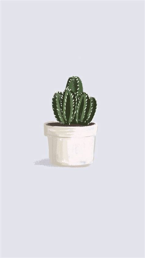 Aesthetic Cactus Wallpapers Top Free Aesthetic Cactus Backgrounds