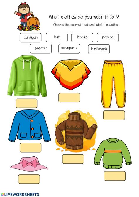 clothes   wear  fall worksheet clothes worksheet