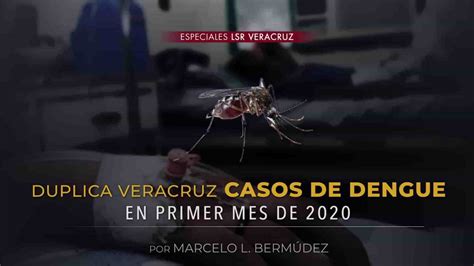 Duplica Veracruz Casos De Dengue En Primer Mes Del 2020 La Silla Rota