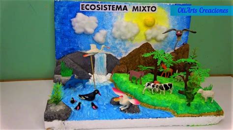 Como Hacer Un ECOSISTEMA MIXTO Paso A Paso Mixed Ecosystem Maquetas