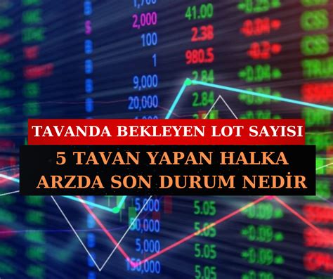 Tavan Yapan Halka Arzda Son Durum Nedir Entra Halka Arz Nda Tavanda