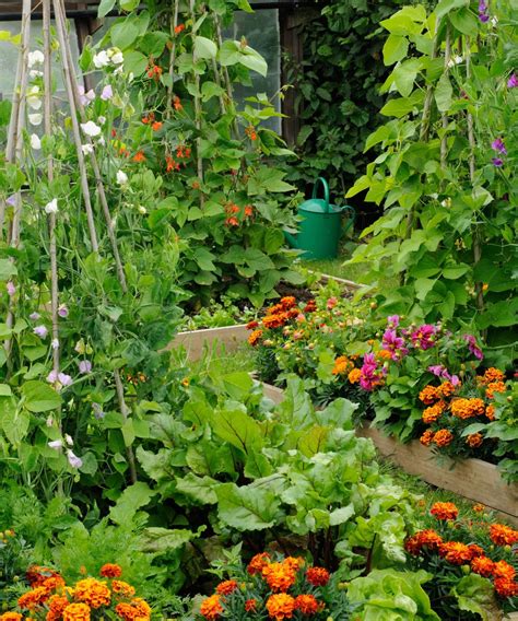 How to design a potager garden for vegetables and flowers | Gardeningetc