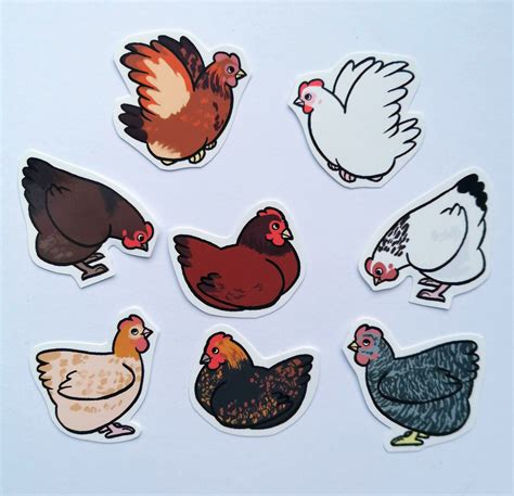 Cute Decorative Chicken Stickers Pack of 8 | Etsy UK