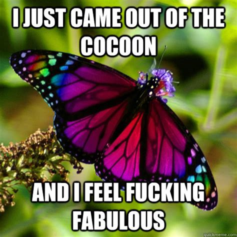 I Just Came Out Of The Cocoon And I Feel Fucking Fabulous Gay Butterfly Quickmeme