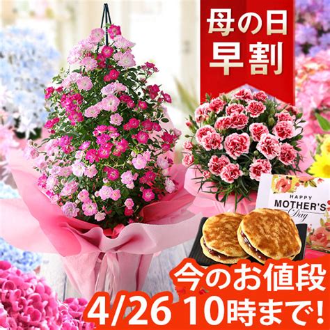 【楽天市場】【10年連続総合1位】【早割実施中！】母の日 プレゼント 花 ギフト 鉢植え アジサイ アレンジ アレンジメント スタンディングブーケ 花束 カーネーション 楽天総合1位 送料無料