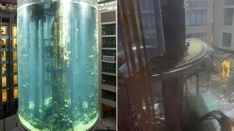 Massive Berlin Aquarium With Fish Bursts Injuring And Flooding