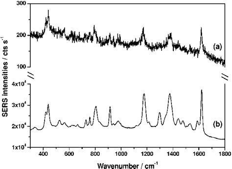 SERS spectra of CV at a 3 Â 10 À11 mol L À1 and b 3 Â 10 À7 mol L