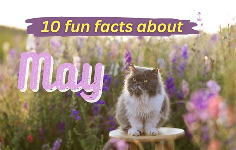 10 Fun Facts About The Month May History Street Club