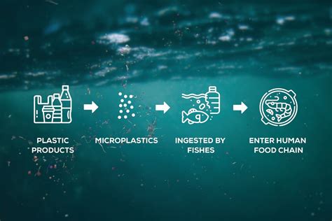 Understanding Biodegradable Plastics