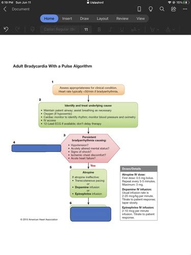 Bradycardia Acls Flashcards Quizlet