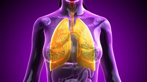 Pulmonary Medicine - MedEd On The Go