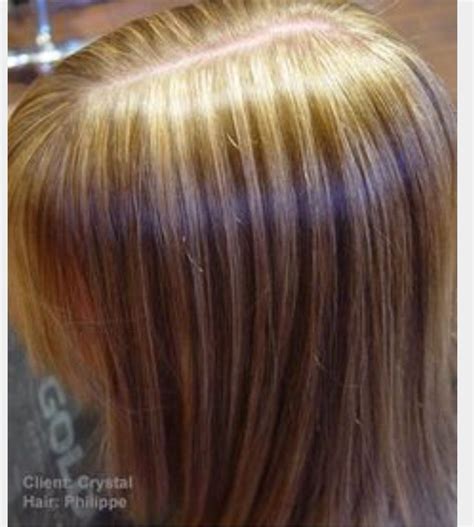 Fine Slice Hair Color Highlights Medium Highlights Long Hair Styles