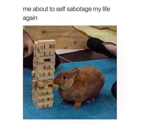 26 Bunny Memes That Are Way Too Cute For Your Screen