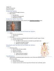 Comprehensive Guide To Endocrine System In Nursing Assessment Course Hero