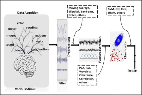 A General Eeg Based Biometric Model Download Scientific Diagram