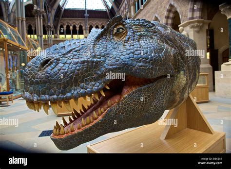 Dinosaur model at Oxford University Museum of Natural History England ...