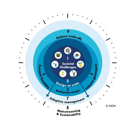 Iucn Global Standard For Nature Based Solutions Europarc Federation