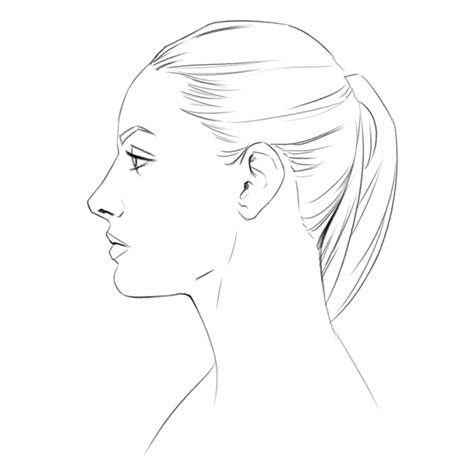 Learn How To Draw A Face From The Side Profile Einfache