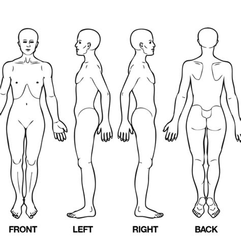 Wedstrijd Body Diagram For Professional Massage Chart Front Back Left And Right Views