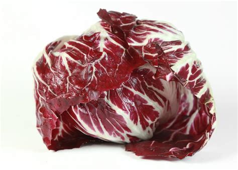 Radicchio | Obst und Gemüse Kräling