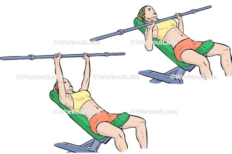 Incline Barbell Bench Chest Press – WorkoutLabs Exercise Guide