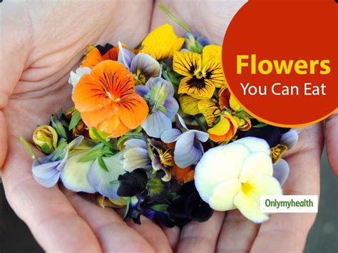 5 Edible Flowers And Their Incredible Health Benefits | OnlyMyHealth