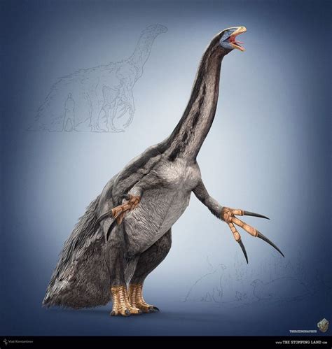 210 best images about Theropod with Feathers on Pinterest | Feathers ...