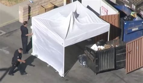 A Hollywood Hotshots Son Was Arrested Over A Torso In A Dumpster Now