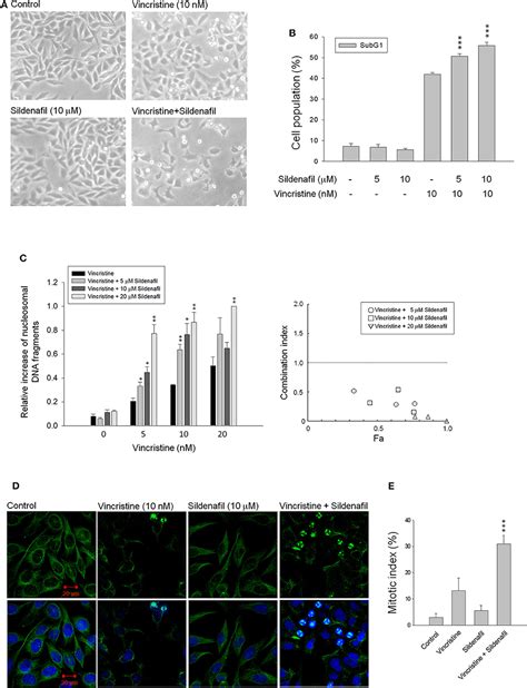 Frontiers Phosphodiesterase Type 5 Inhibitors Synergize Vincristine