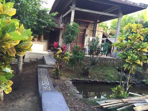 Dijual Rumah Style Bali Dikelilingi Sawah Dan View Gunung Lokasi Tbn