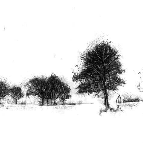 Original Treeline Sketch Seanbriggs