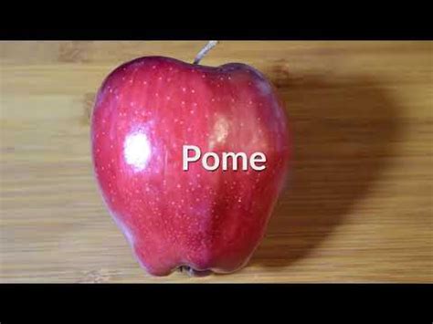 Pome fruits: description and types - Education 2024