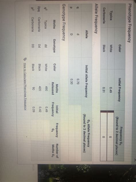 Solved Phenotype Frequency Color Initial Frequency Frequency Chegg