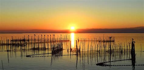 El Arroz en la Albufera de Valencia Arrocería Alejandro Platero